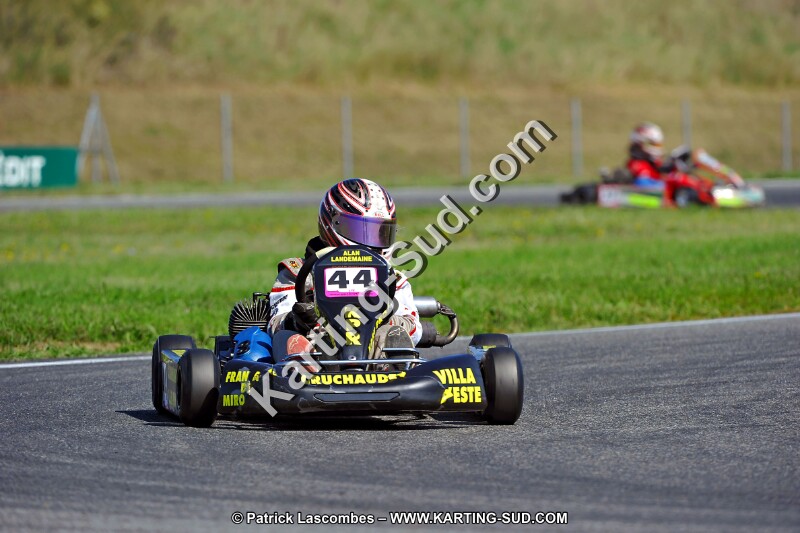 DSC_ (1259).jpg